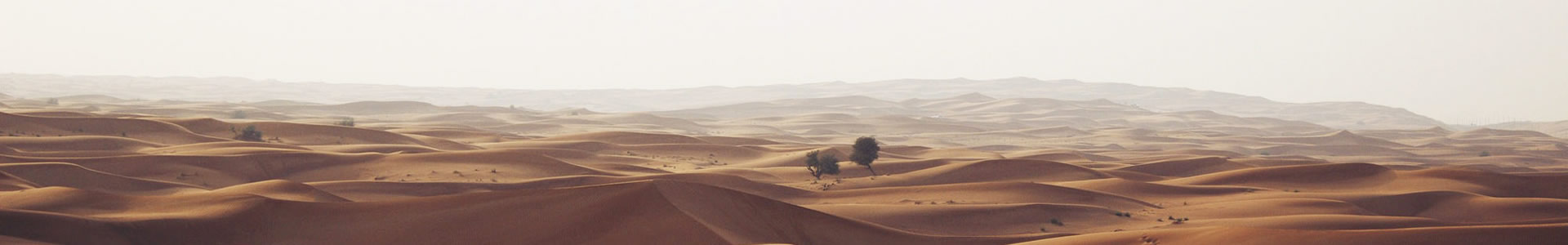 ݵϢ޹˾